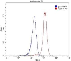 OCTN2 Rabbit anti-Human, Mouse, Rat, Polyclonal, Proteintech:Antibodies:Primary