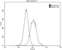 HNRNPU Rabbit anti-Human, Mouse, Rat, Polyclonal, Proteintech:Antibodies:Primary