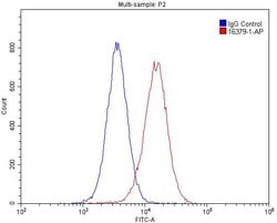 GSNOR/ADH5 Rabbit anti-Human, Mouse, Rat, Polyclonal, Proteintech 150 &mu;L;