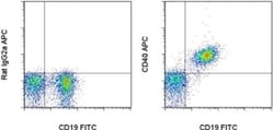 CD40 Monoclonal Antibody (1C10), APC, eBioscience&trade;, Invitrogen&trade;
