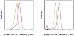 Phospho-ZAP70/Syk (Tyr319, Tyr352) Monoclonal Antibody (n3kobu5), APC, eBioscience™, Invitrogen™
