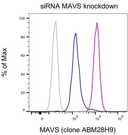 MAVS Monoclonal Antibody (ABM28H9), PE-Cyanine7, eBioscience , Invitrogen:Antibodies:Primary