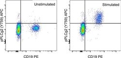 Invitrogen Phospho-PLCG2 (Tyr759) Monoclonal Antibody (4NPRN4), APC, eBioscience