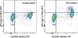 Invitrogen Phospho-PLCG2 (Tyr759) Monoclonal Antibody (4NPRN4), APC, eBioscience