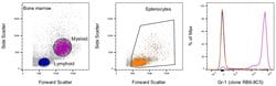 Ly-6G/Ly-6C Monoclonal Antibody (RB6-8C5), APC, eBioscience , Invitrogen:Antibodies:Primary