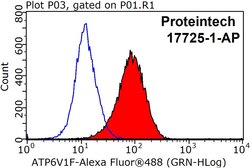 ATP6V1F Rabbit anti-Human, Mouse, Polyclonal, Proteintech 150 &mu;L; Unconjugated:Antibodies,