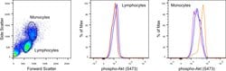 Phospho-AKT1 (Ser473) Monoclonal Antibody (SDRNR), APC, eBioscience&trade;, Invitrogen&trade;:  