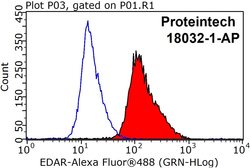 EDAR Rabbit anti-Human, Polyclonal, Proteintech:Antibodies:Primary Antibodies