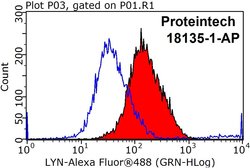 LYN Rabbit anti-Human, Polyclonal, Proteintech 150 &mu;L; Unconjugated:Antibodies,