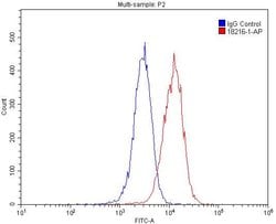 LSR Rabbit anti-Human, Mouse, Rat, Polyclonal, Proteintech 150 &mu;L; Unconjugated:Antibodies,