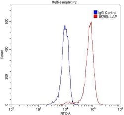 TDP-43 Rabbit anti-Human, Mouse, Rat, Polyclonal, Proteintech:Antibodies:Primary