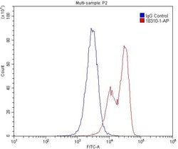 G-CSFR Rabbit anti-Human, Polyclonal, Proteintech 150 &mu;L | Buy Online | Proteintech | Fisher Scientific