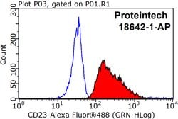 CD23 Rabbit anti-Human, Polyclonal, Proteintech:Antibodies:Primary Antibodies