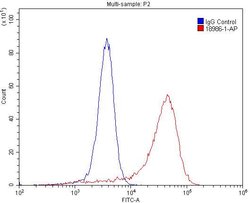 EGFR Rabbit anti-Human, Rat, Polyclonal, Proteintech 150 &mu;L; Unconjugated:Antibodies,