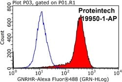 GNRHR Rabbit anti-Human, Mouse, Polyclonal, Proteintech 150 &mu;L; Unconjugated:Antibodies,