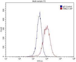 ITPR1 Rabbit anti-Human, Mouse, Rat, Polyclonal, Proteintech 150 &mu;L;