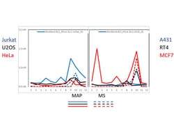 NFkB p65 Monoclonal Antibody (27F9.G4), Rockland 25 &mu;L; Unconjugated:Antibodies,