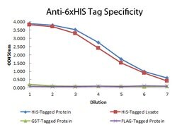 6X His Epitope Tag Monoclonal Antibody (33D10.D2.G8), Rockland:Antibodies:Primary