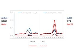 AKT1 Monoclonal Antibody (14E5.A2.B2.H9), Rockland 100 &mu;g; Unconjugated:Antibodies,