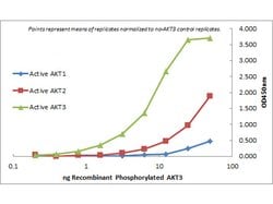 AKT3 Monoclonal Antibody (9A5.H9.G7), Rockland 1 mg; Unconjugated:Antibodies,
