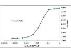 E.coli Combined HCP Polyclonal Antibody, Rockland:Antibodies:Primary Antibodies