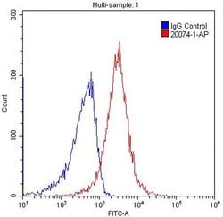 GPR101 Rabbit anti-Human, Non-human primate, Polyclonal, Proteintech 150