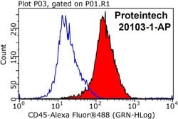 CD45 Rabbit anti-Human, Mouse, Rat, Polyclonal, Proteintech