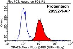 ORAI2 Rabbit anti-Human, Mouse, Polyclonal, Proteintech:Antibodies:Primary