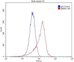 E-selectin /CD62E Rabbit anti-Human, Mouse, Rat, Polyclonal, Proteintech:Antibodies:Primary