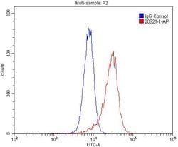 PTAFR Rabbit anti-Human, Polyclonal, Proteintech 150 &mu;L; Unconjugated:Antibodies,
