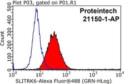 SLITRK6 Rabbit anti-Human, Mouse, Rat, Polyclonal, Proteintech 150 μL;