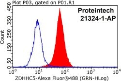 ZDHHC5 Rabbit anti-Human, Mouse, Rat, Polyclonal, Proteintech 150 &mu;L;