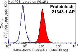 TMX4 Rabbit anti-Human, Mouse, Rat, Polyclonal, Proteintech 20 &mu;L; Unconjugated:Antibodies,