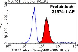 TNFR1 Rabbit anti-Human, Mouse, Polyclonal, Proteintech:Antibodies:Primary