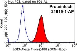 LGI3 Rabbit anti-Human, Mouse, Rat, Polyclonal, Proteintech:Antibodies:Primary