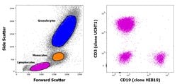 CD3/CD19 Antibody Cocktail, FITC, PE, eBioscience , Invitrogen 50 Tests;