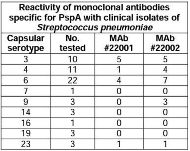 Streptococcus pneumoniae Monoclonal Antibody (XI64), QED Bioscience 200