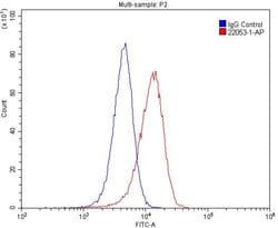 MAGED1 Rabbit anti-Human, Mouse, Rat, Polyclonal, Proteintech:Antibodies:Primary