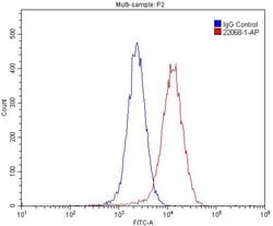 UNC5A Rabbit anti-Human, Mouse, Rat, Polyclonal, Proteintech 150 &mu;L;