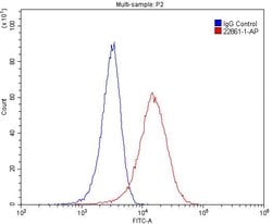 IL22RA2 Rabbit anti-Human, Polyclonal, Proteintech 150 &mu;L | Buy Online | Proteintech Group Inc | Fisher Scientific
