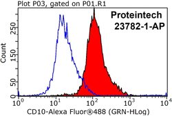 MME/CD10 Rabbit anti-Human, Polyclonal, Proteintech 150 &mu;L | Buy Online | Proteintech Group Inc | Fisher Scientific