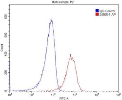 MYO10 Rabbit anti-Human, Mouse, Polyclonal, Proteintech 150 &mu;L; Unconjugated:Antibodies,