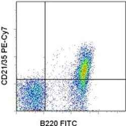 CD21/CD35 Monoclonal Antibody (eBio8D9 (8D9)), PE-Cyanine7, eBioscience