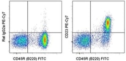 CD23 Monoclonal Antibody (B3B4), PE-Cyanine7, eBioscience , Invitrogen:Antibodies:Primary