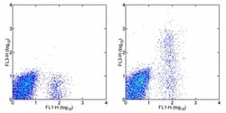Invitrogen CD23 Monoclonal Antibody (EBVCS2), PE-Cyanine7, eBioscience