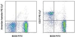 CD27 Monoclonal Antibody (LG.7F9), PE-Cyanine7, eBioscience , Invitrogen:Antibodies:Primary