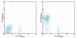 Invitrogen CD28 Monoclonal Antibody (CD28.2), PE-Cyanine7, eBioscience