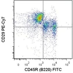 Invitrogen CD29 (Integrin beta 1) Monoclonal Antibody (eBioHMb1-1 (HMb1-1)),