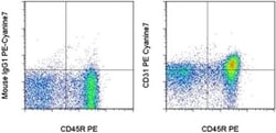 CD31 (PECAM-1) Monoclonal Antibody (TLD-3A12), PE-Cyanine7, eBioscience