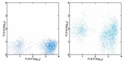 CD38 Monoclonal Antibody (HIT2), PE-Cyanine7, eBioscience , Invitrogen:Antibodies:Primary